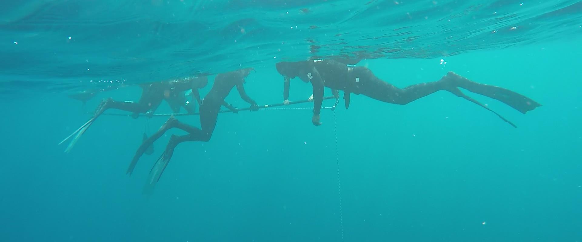 Freediving Course Certification